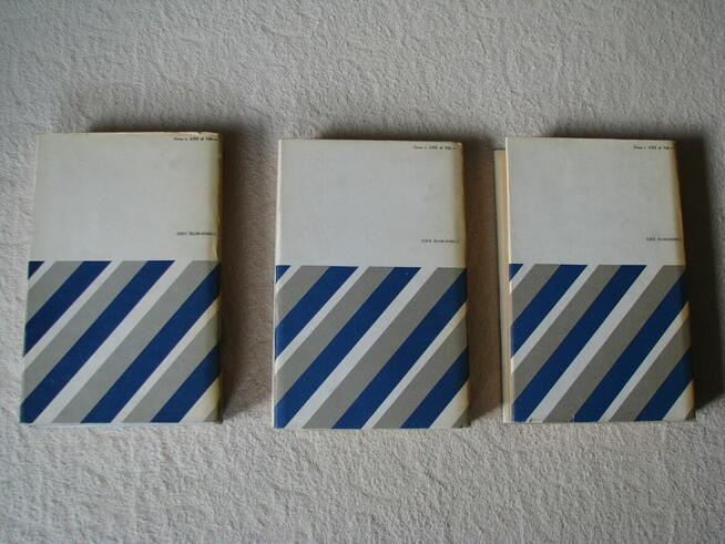 Janusz Meissner Czarna bandera Czerwone krzyże Zielona brama