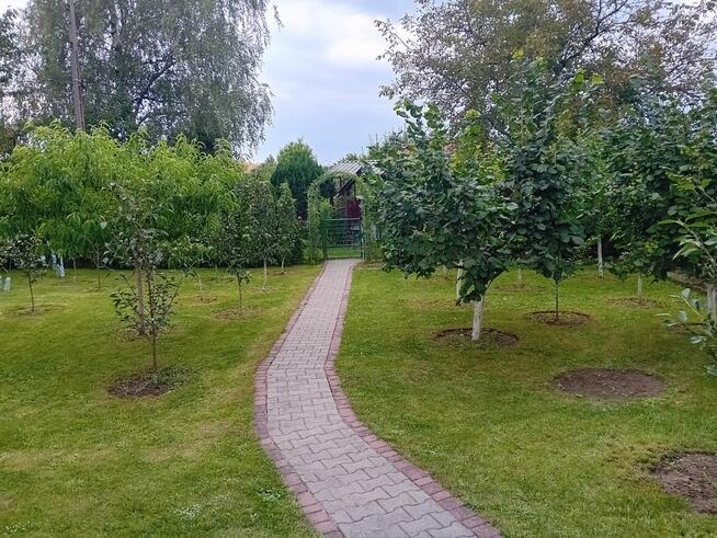 Sprzedam działkę ROD Zielony Gaj