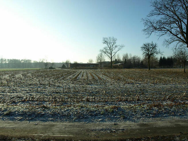 Działka budowlana Liszkowice gm. Rojewo
