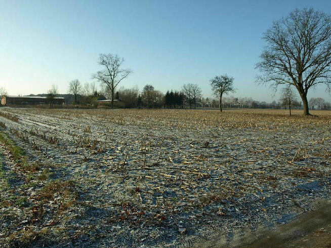 Działka budowlana Liszkowice gm. Rojewo