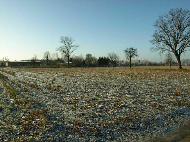 Działka budowlana Liszkowice gm. Rojewo