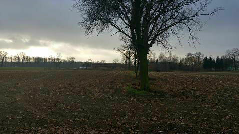 Działka budowlana Liszkowice gm. Rojewo