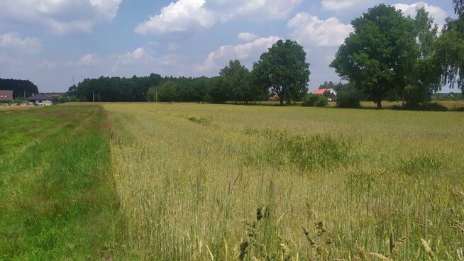 Działka budowlana Zgoń gm. Orzesze