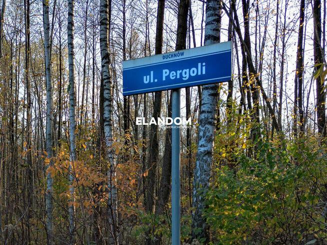 Wyjątkowa duża działka w leśnej okolicy