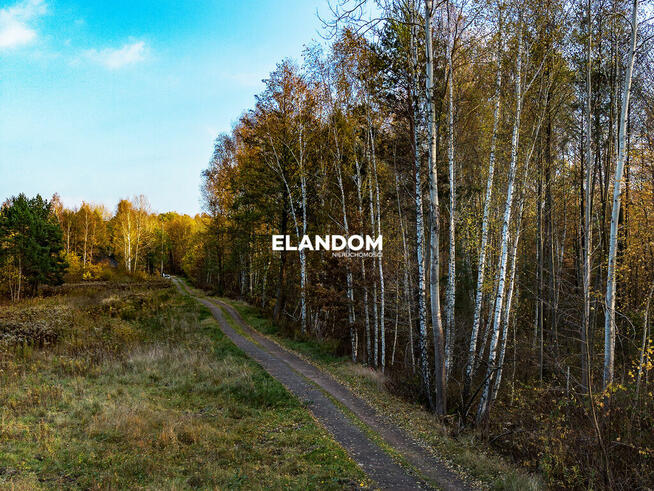 Wyjątkowa duża działka w leśnej okolicy
