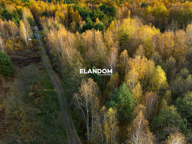 Wyjątkowa duża działka w leśnej okolicy