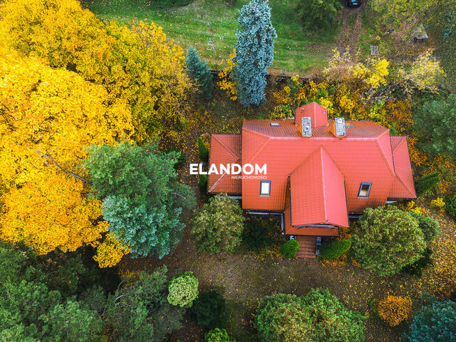 Piękny drewniany dom | duża działka