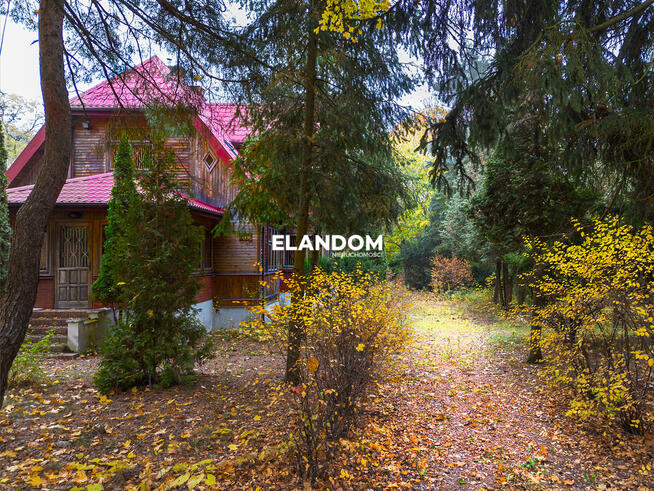 Piękny drewniany dom | duża działka