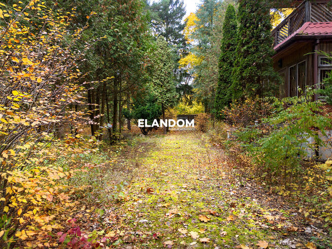 Piękny drewniany dom | duża działka