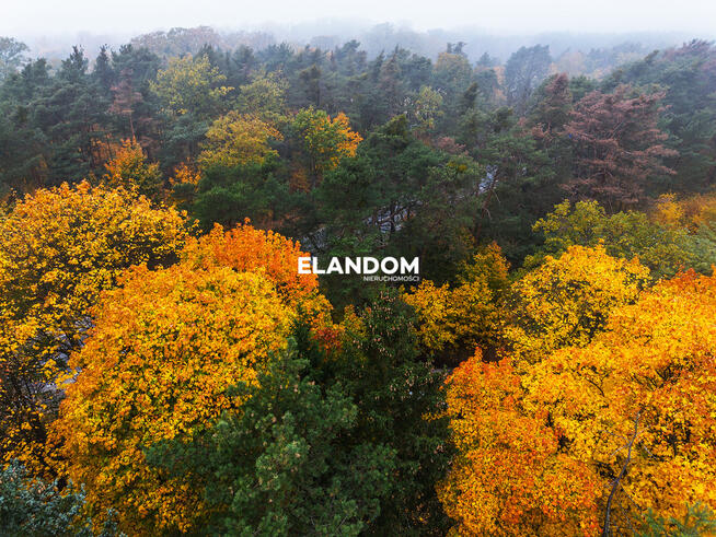 Piękny drewniany dom | duża działka