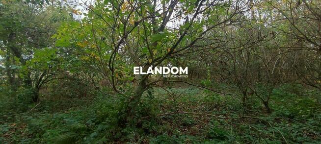 Tajemniczy ogród z domem oraz ...