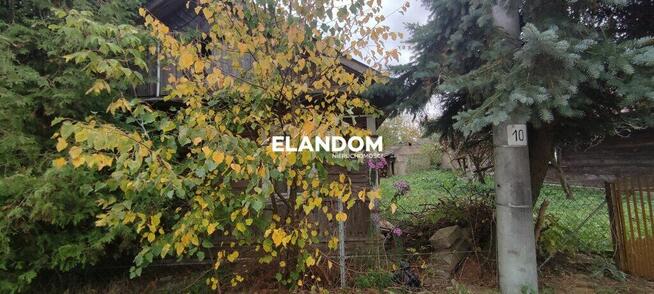 Tajemniczy ogród z domem oraz ...