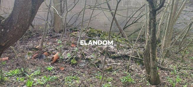 Tajemniczy ogród z domem oraz ...