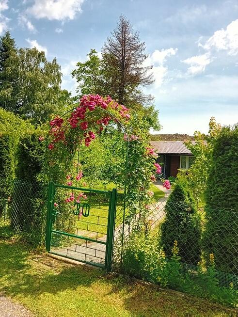 Sprzedam działkę ROD Zielony Gaj