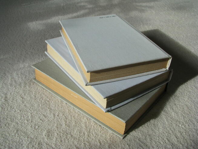 Janusz Meissner Czarna bandera Czerwone krzyże Zielona brama