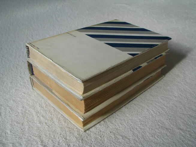 Janusz Meissner Czarna bandera Czerwone krzyże Zielona brama