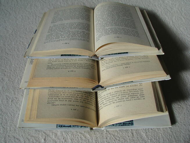 Janusz Meissner Czarna bandera Czerwone krzyże Zielona brama