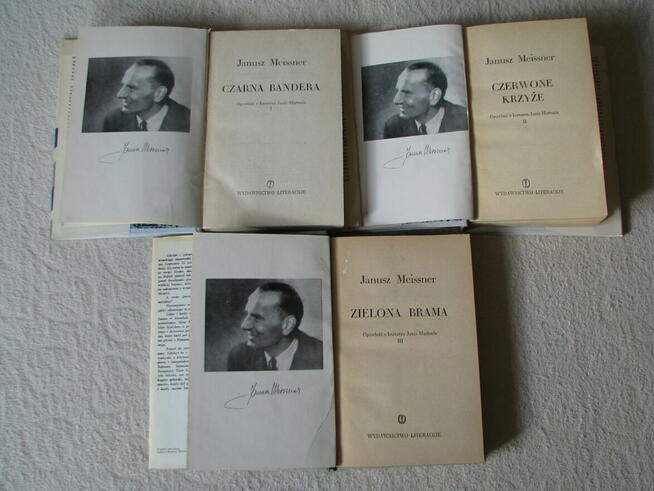 Janusz Meissner Czarna bandera Czerwone krzyże Zielona brama
