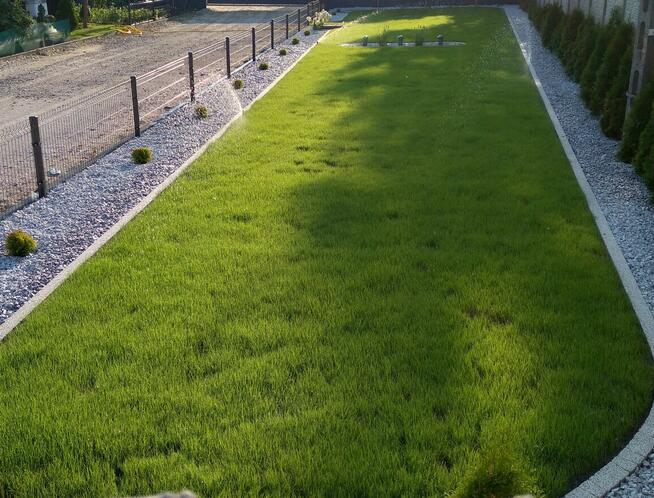 Usługi ogrodnicze, oczka, trawnik, kostka, nawadnianie ogrodu