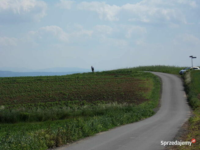 56ara =331.000zł. ZIELONKI-Trojanowice, k.Krakowa
