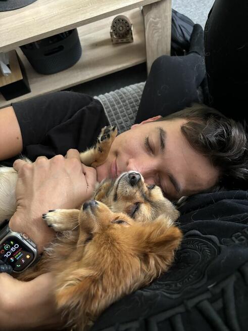 Domowy hotel dla Twojego pupila