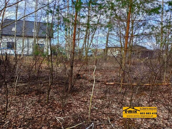 Działka budowlana w Wólce Radzymińskiej pod Warszawą