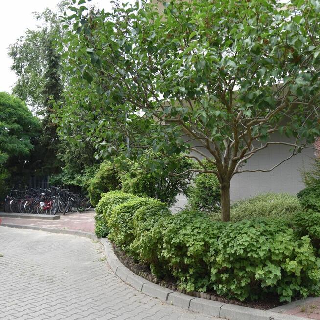 Mieszkanie do wynajęcia Al. Bohaterów Września 3