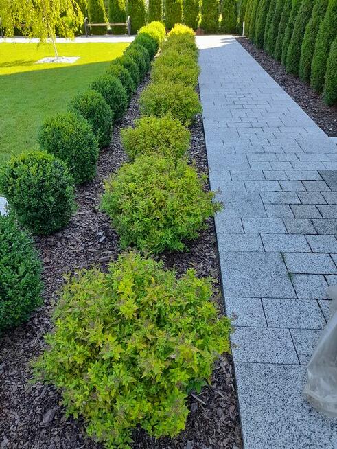 Usługi ogrodnicze, oczka, trawnik, kostka, nawadnianie ogrodu