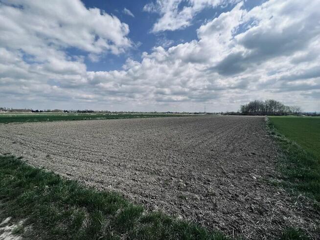 56ara =331.000zł. ZIELONKI-Trojanowice, k.Krakowa