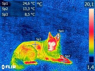 Termowizja. Badania Termowizyjne