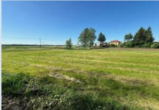 Działka 6700m2 na sprzedaż z siedliskiem