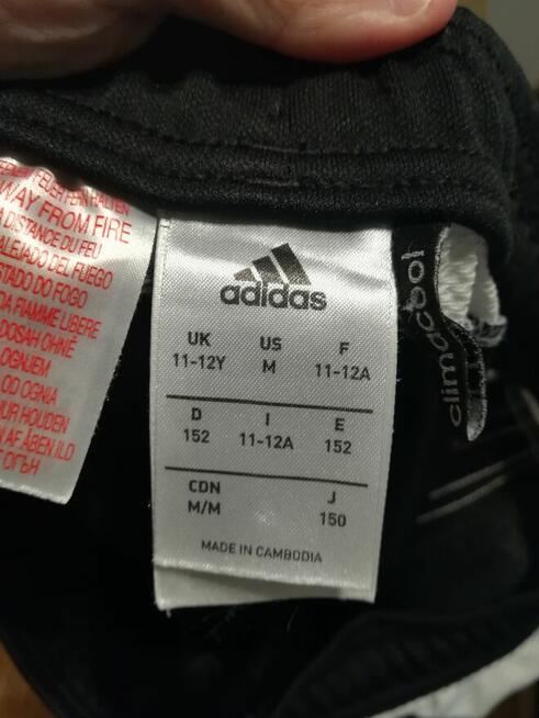 Spodnie treningowe Legi