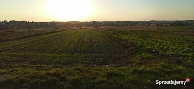 56ara =331.000zł. ZIELONKI-Trojanowice, k.Krakowa