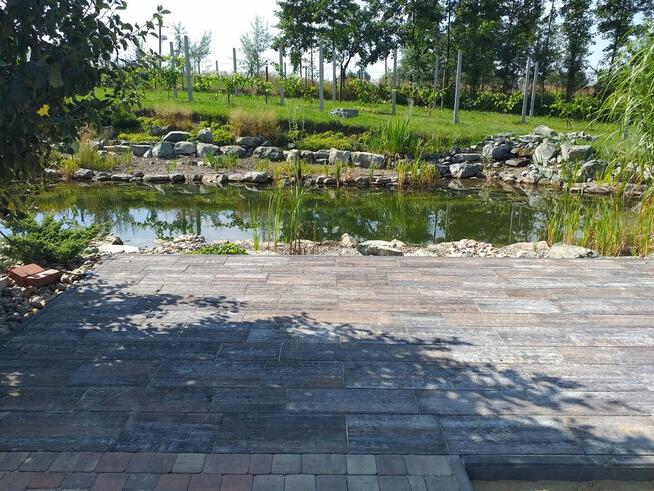 Usługi ogrodnicze, oczka, trawnik, kostka, nawadnianie ogrodu