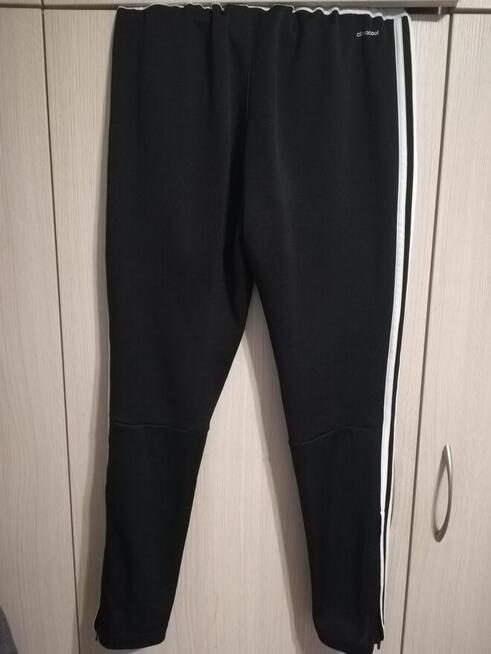 Spodnie treningowe Legi