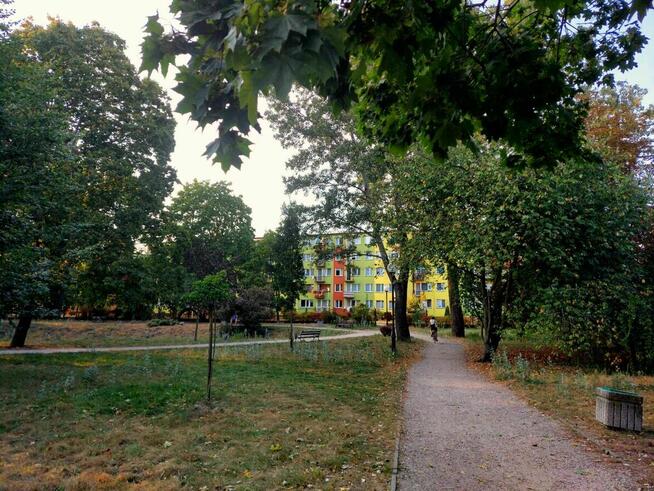 Mieszkanie 3 pok. w centrum przy parku, os. Budowlanych