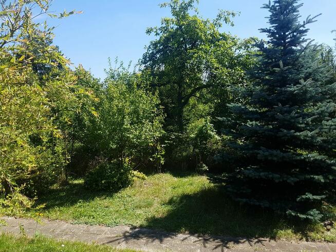 ogródek działkowy ROD lepsze jutro wrocław, ołbin