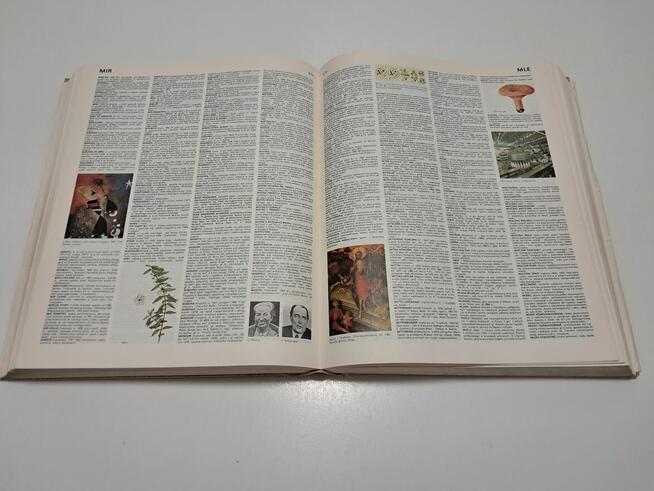 Książka – „Encyklopedia popularna PWN” (1982 r.)