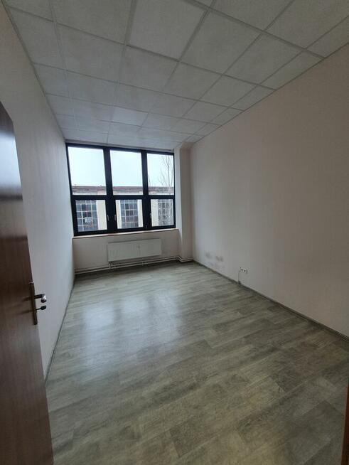 20 metrów w centrum Łodzi, Piotrkowska