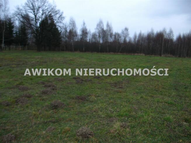 Działka budowlana Budy-Grzybek gm. Jaktorów