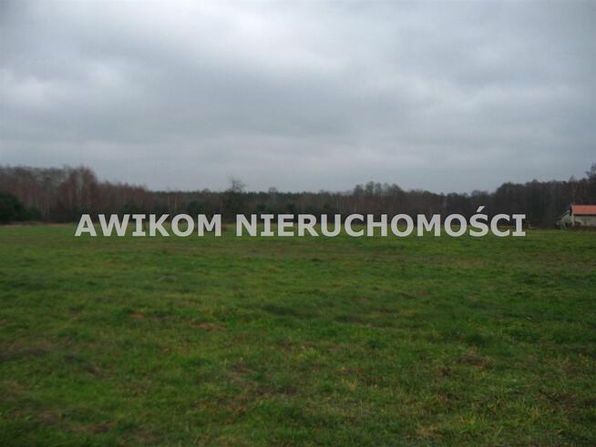 Działka budowlana Budy-Grzybek gm. Jaktorów