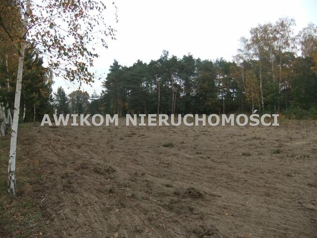 Działka budowlana Skierniewice