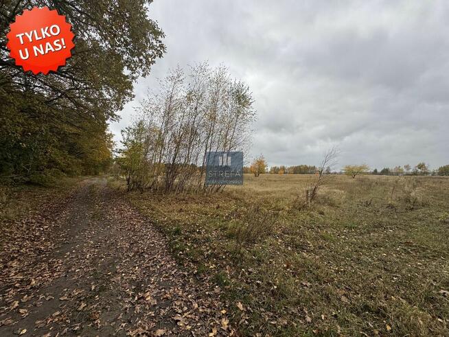 Działka rolna Wołczkowo gm. Dobra (Szczecińska), Leśna