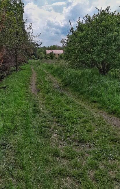 Działka budowlana w Żarskiej Wsi. MPZP! DO NEGOCJACJI!