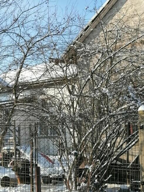 Udział 3/20 w nieruchomości - Chrzęsne 326/1