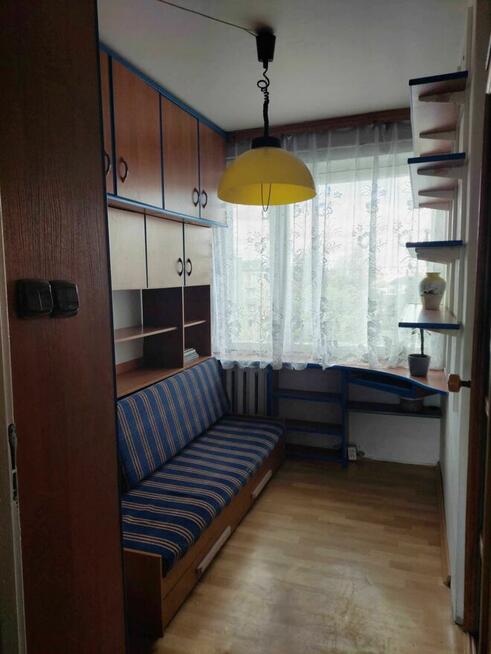 Mieszkanie 3 pok. w centrum przy parku, os. Budowlanych