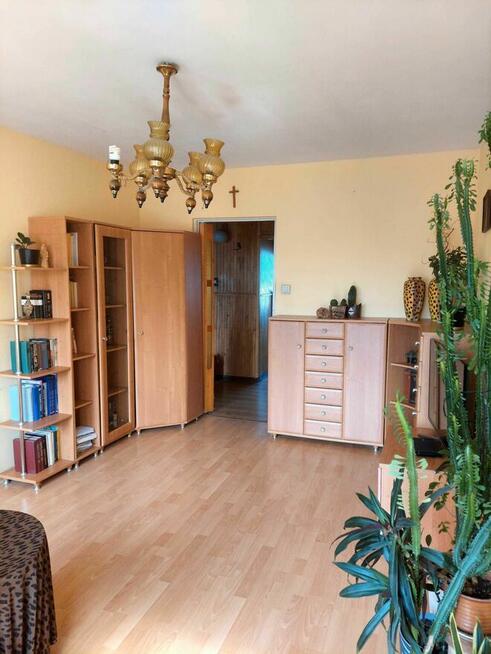Mieszkanie 3 pok. w centrum przy parku, os. Budowlanych