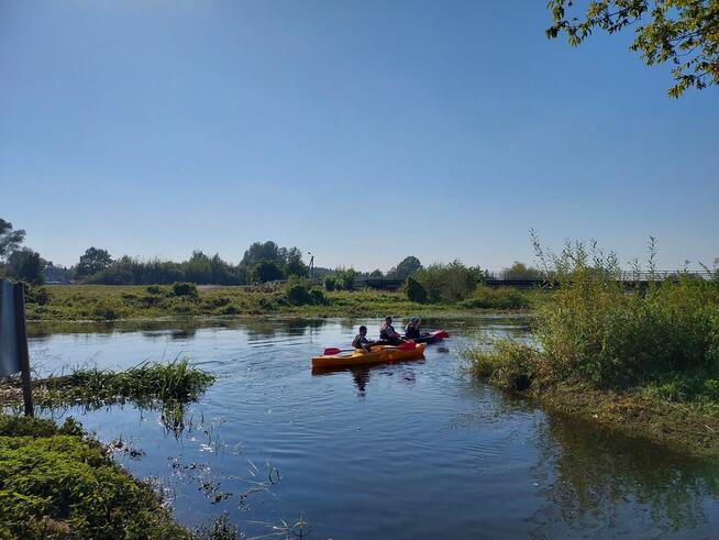 Camp-KAJAKOWO Pole Namiotowe Camping zaprasza w 2024 roku