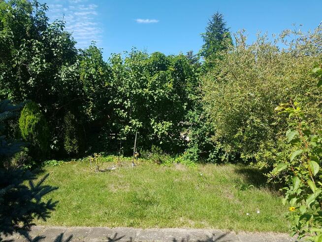 ogródek działkowy ROD lepsze jutro wrocław, ołbin