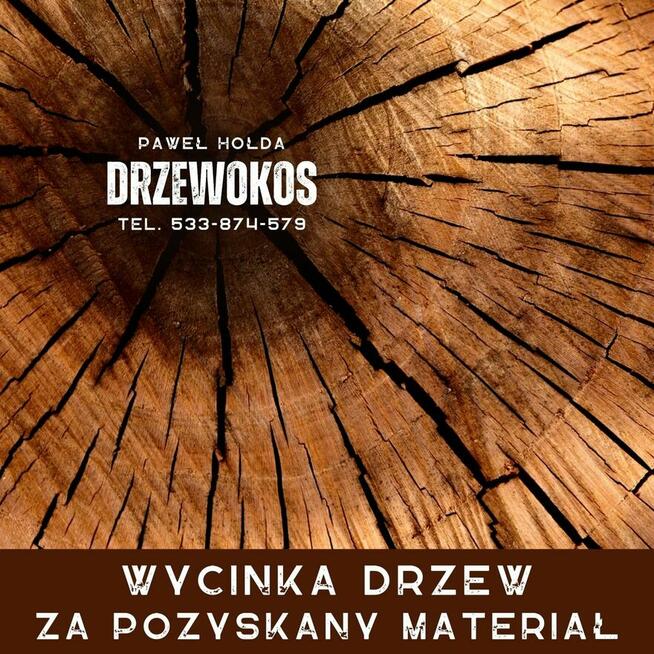 Profesjonalna Wycinka Drzew WYCINAMY ZA DARMO (za drewno)!
